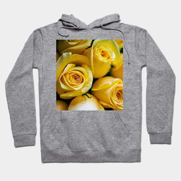 Beautiful Yellow Roses Hoodie by NewburyBoutique